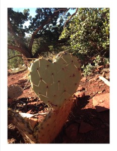 cactus heart 3